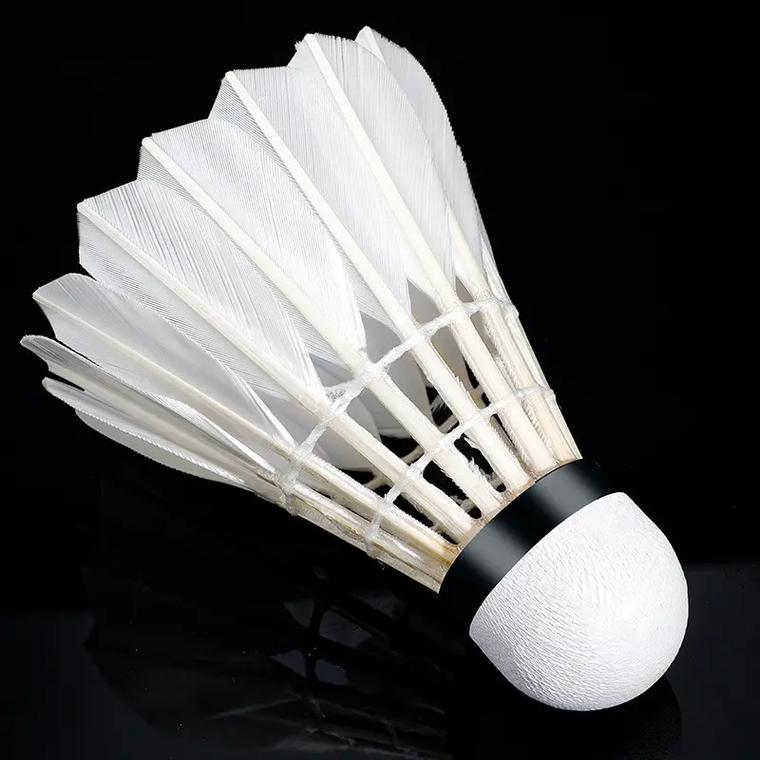 口中后段进 口中后段进